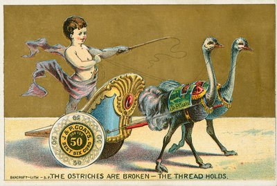 The Ostriches are Broken- The Thread Holds by American School